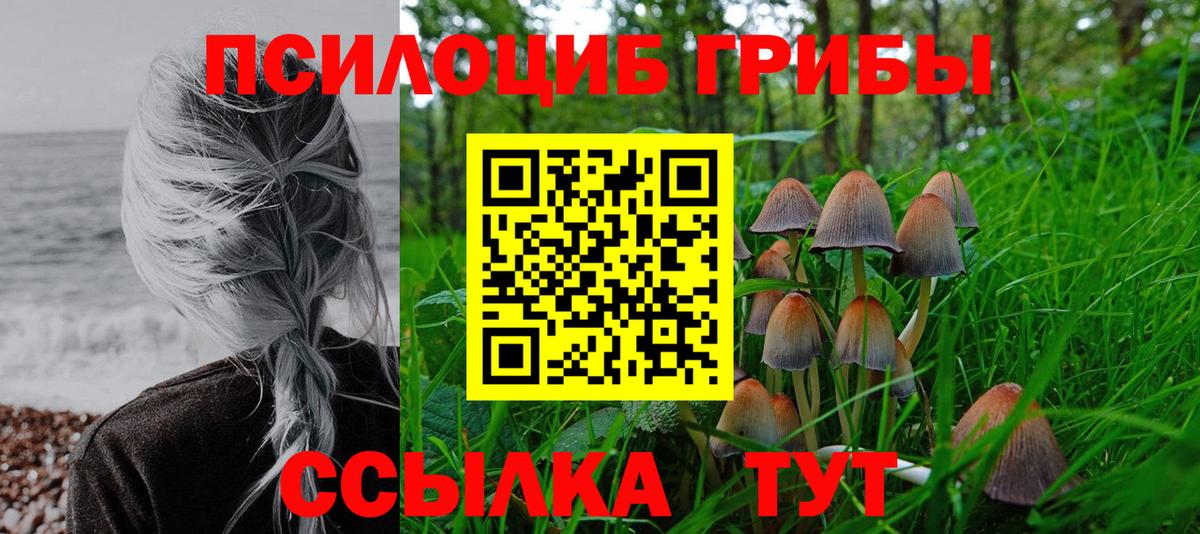 Галлюциногенные грибы Cubensis  Вход с VPN  Асбест 
