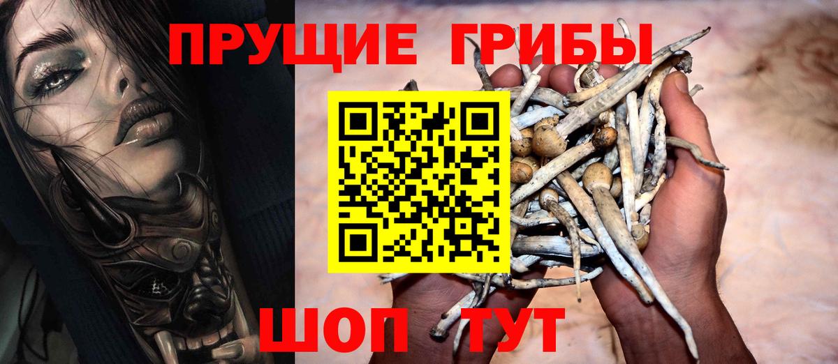 Псилоцибиновые грибы Cubensis Асбест